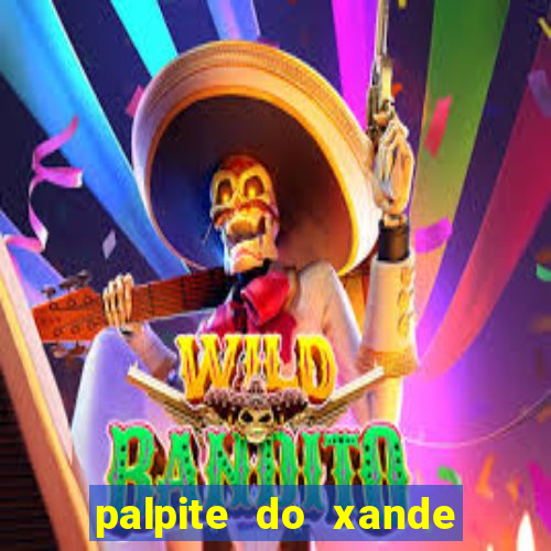 palpite do xande para hoje